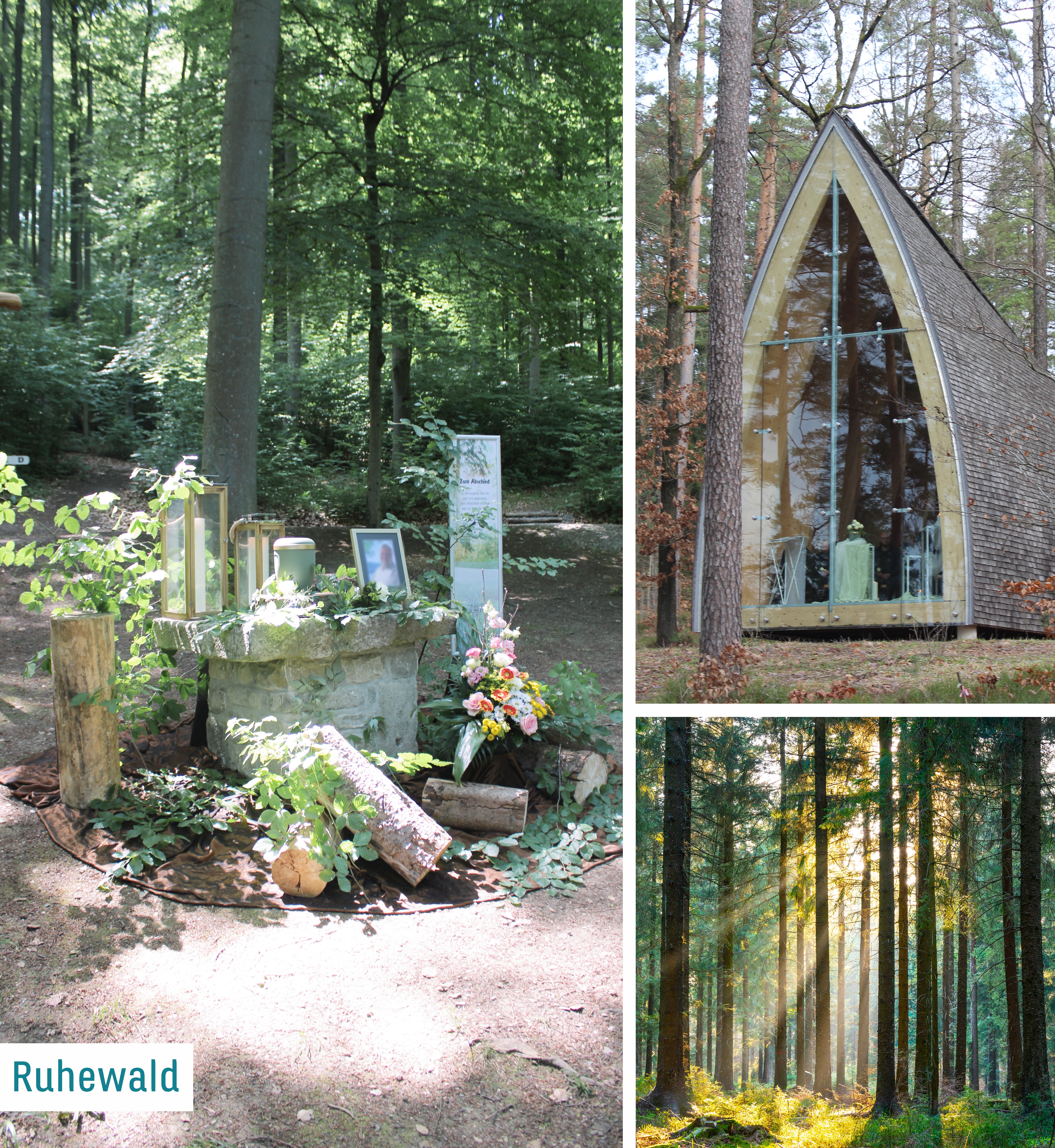 Trauerorte Zehner Bestattunge