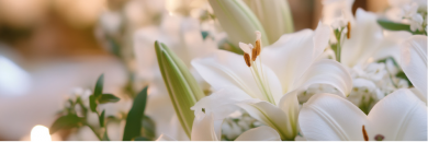 Zehner Kompass Bestattung Abschied