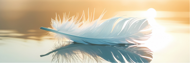 Zehner Kompass Todesfall Bestattungen