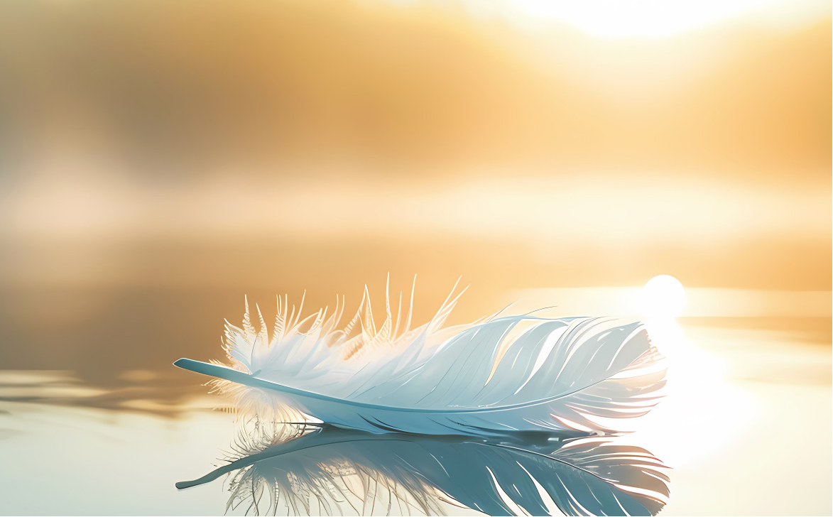 Zehner Kompass Todesfall Bestattungen